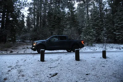 DSC_5847 (Large).JPG